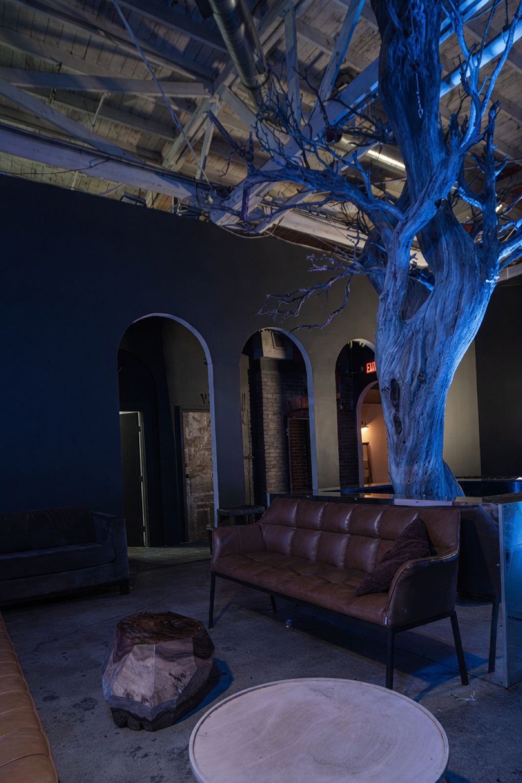 Lounge seating beneath the sculptural tree feature